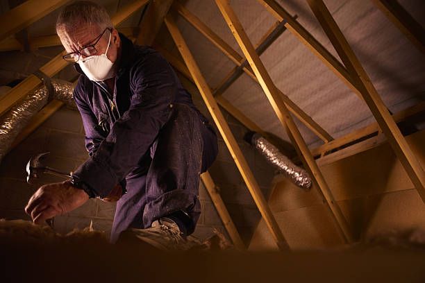 Types of Insulation We Offer in DE